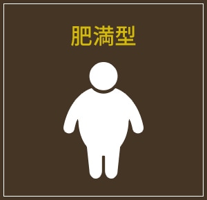 肥満型